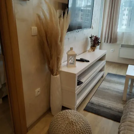 Apartament Centar Gondola Zlatibor