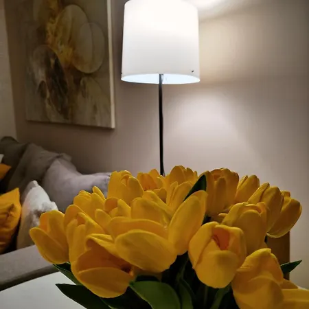 Apartament Centar Gondola *