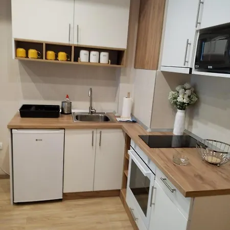 Apartament Centar Gondola Zlatibor