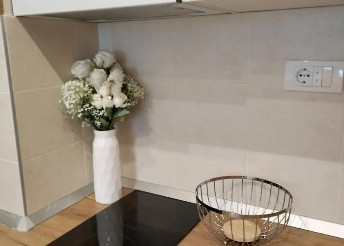 Centar Gondola 公寓 *