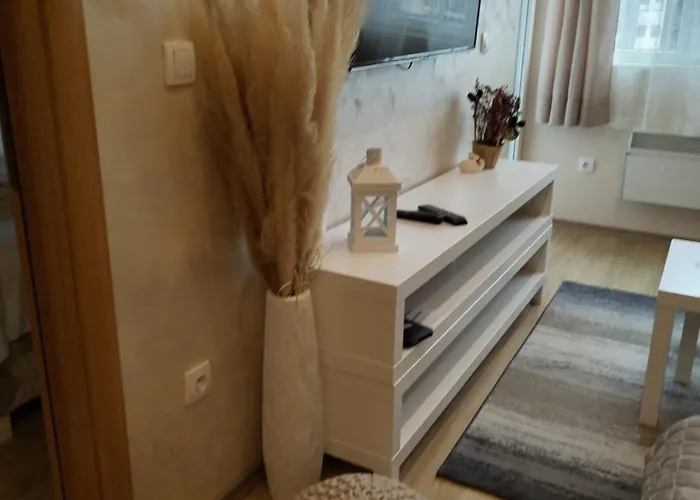 公寓 Centar Gondola 兹拉蒂博尔