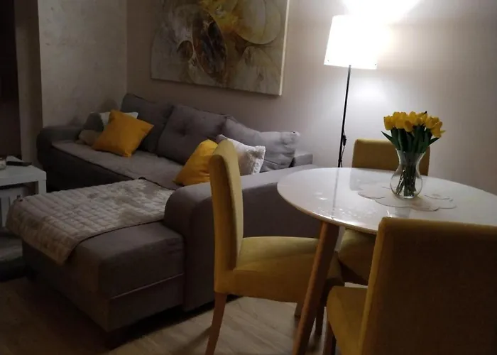 Centar Gondola 公寓 兹拉蒂博尔