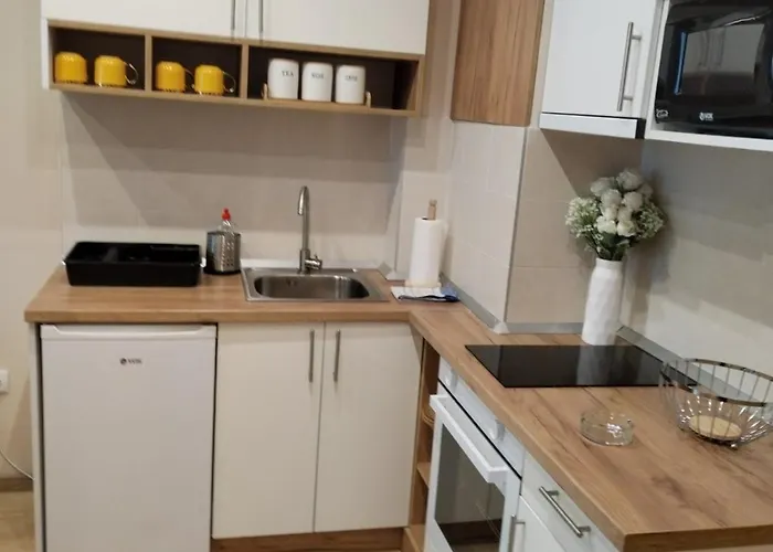 公寓 Centar Gondola 兹拉蒂博尔